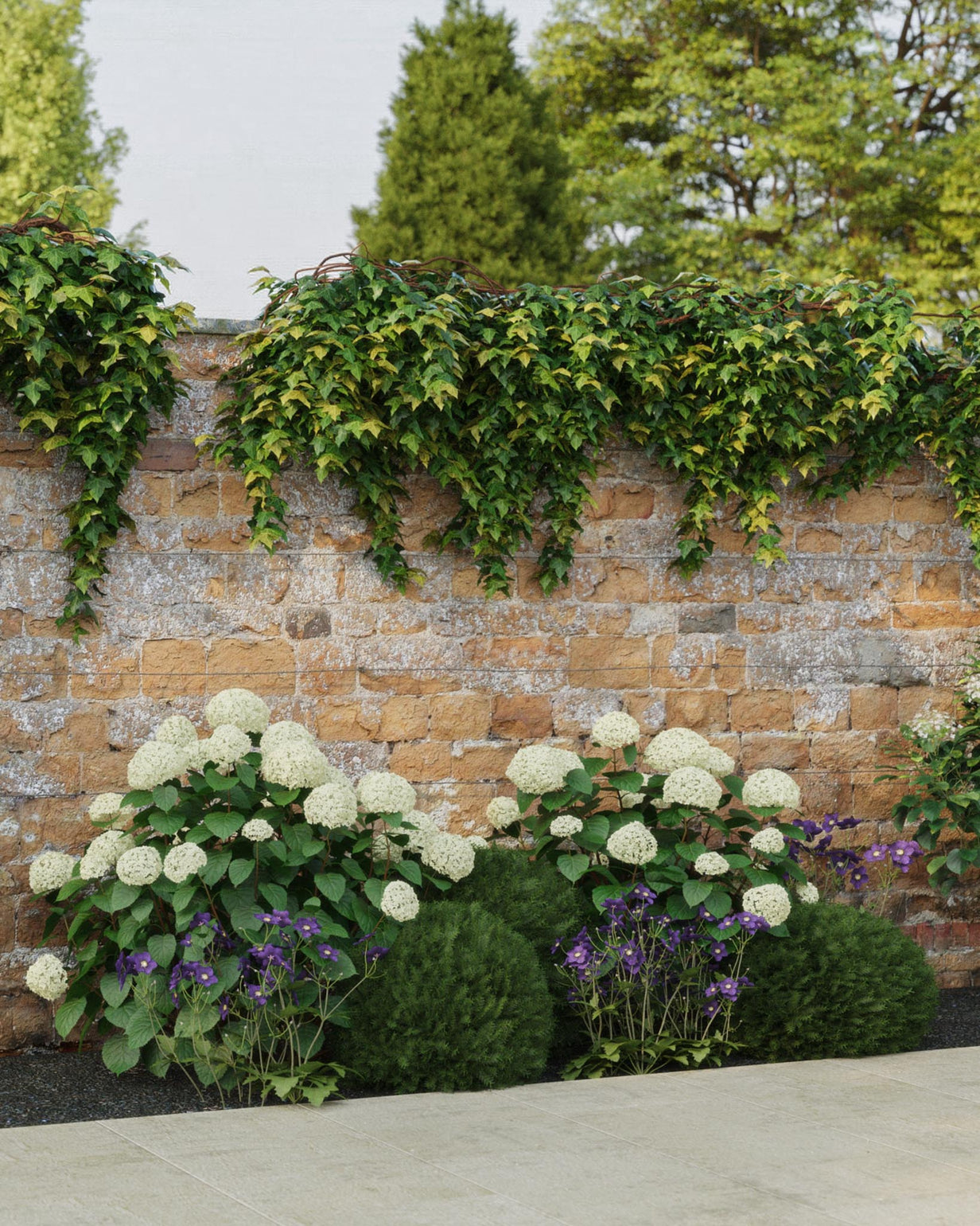 products/SOTOClassicProduct-ViewB-Shade2mWide.jpg